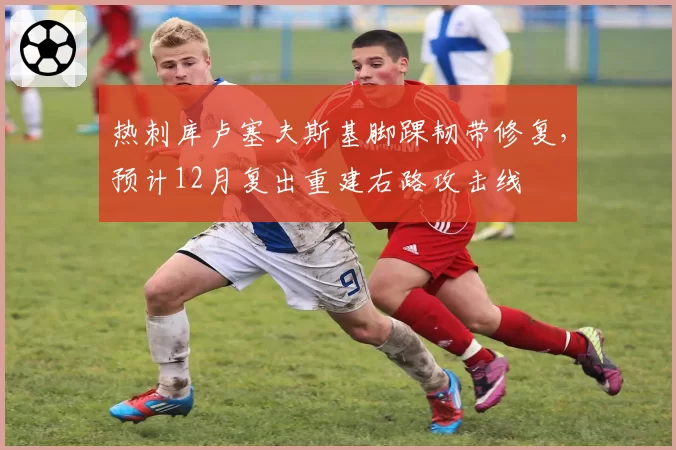 热刺库卢塞夫斯基脚踝韧带修复，预计12月复出重建右路攻击线