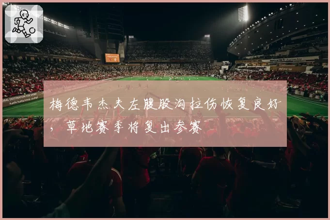 梅德韦杰夫左腹股沟拉伤恢复良好，草地赛季将复出参赛