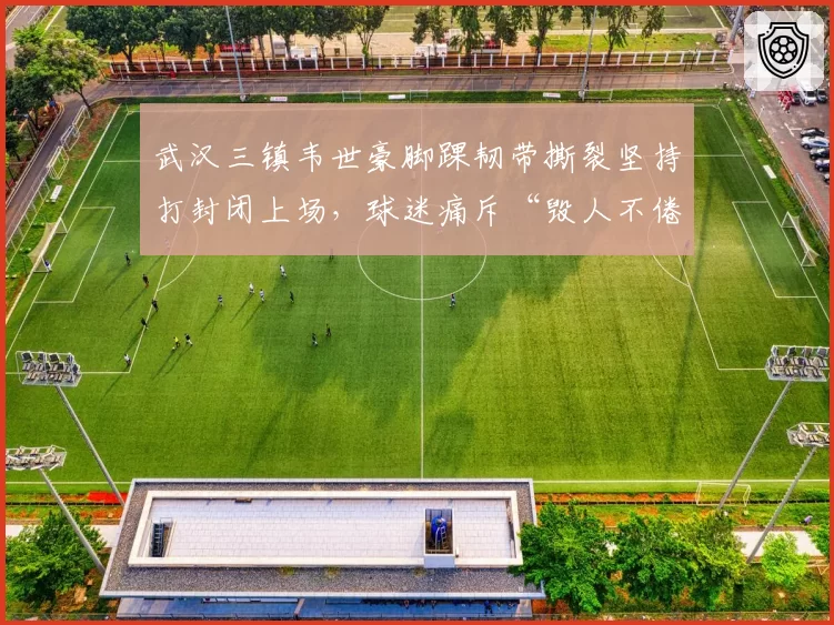 武汉三镇韦世豪脚踝韧带撕裂坚持打封闭上场,球迷痛斥“毁人不倦”