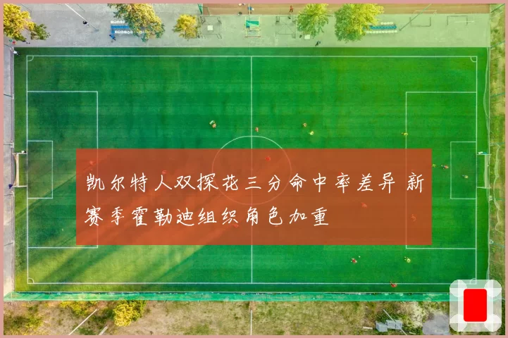 凯尔特人双探花三分命中率差异 新赛季霍勒迪组织角色加重