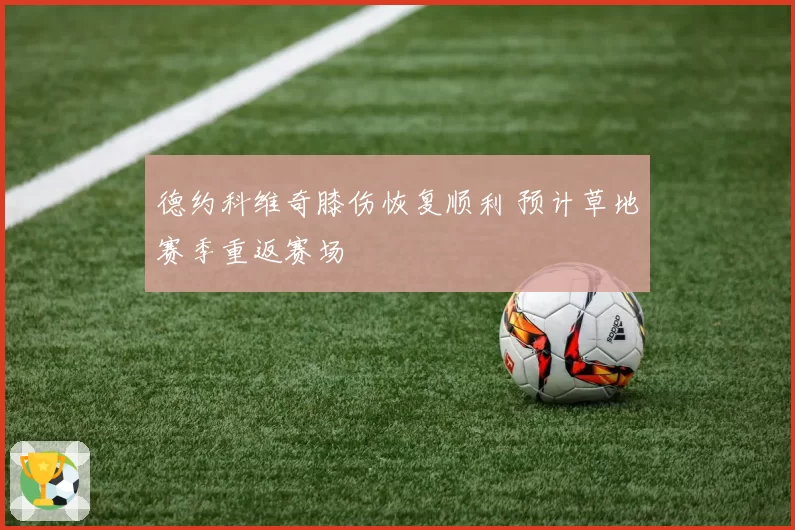 德约科维奇膝伤恢复顺利 预计草地赛季重返赛场