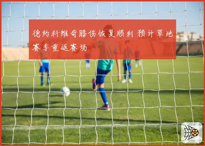 德约科维奇膝伤恢复顺利 预计草地赛季重返赛场
