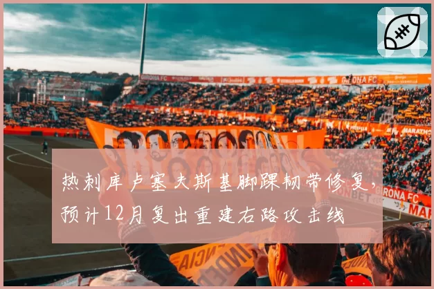 热刺库卢塞夫斯基脚踝韧带修复，预计12月复出重建右路攻击线